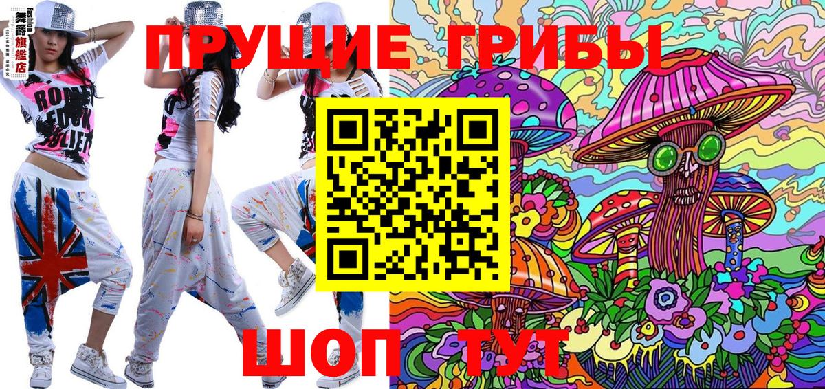 Псилоцибиновые грибы Cubensis Курчатов