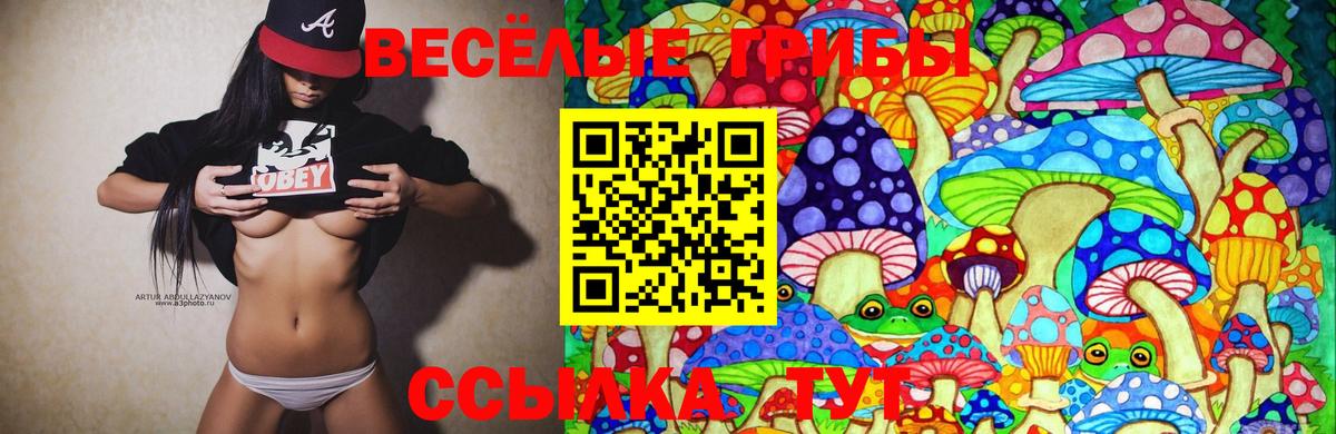 Галлюциногенные грибы GOLDEN TEACHER  Вход с VPN  Курчатов 